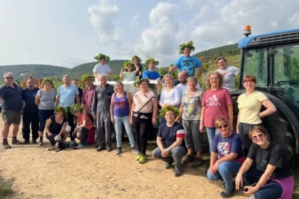 Weinleser für einen Tag - Bonjour Alsace