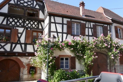 Ab Straßburg: "Coeur d’Alsace“ PRIVATE Tagestour - Bonjour Alsace