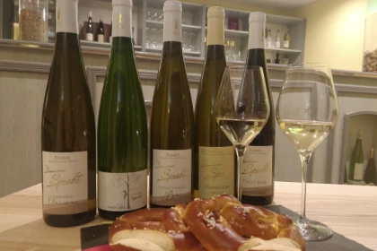 Traditioneller Besuch & Weinprobe - 5 Rebsorten - Bonjour Alsace