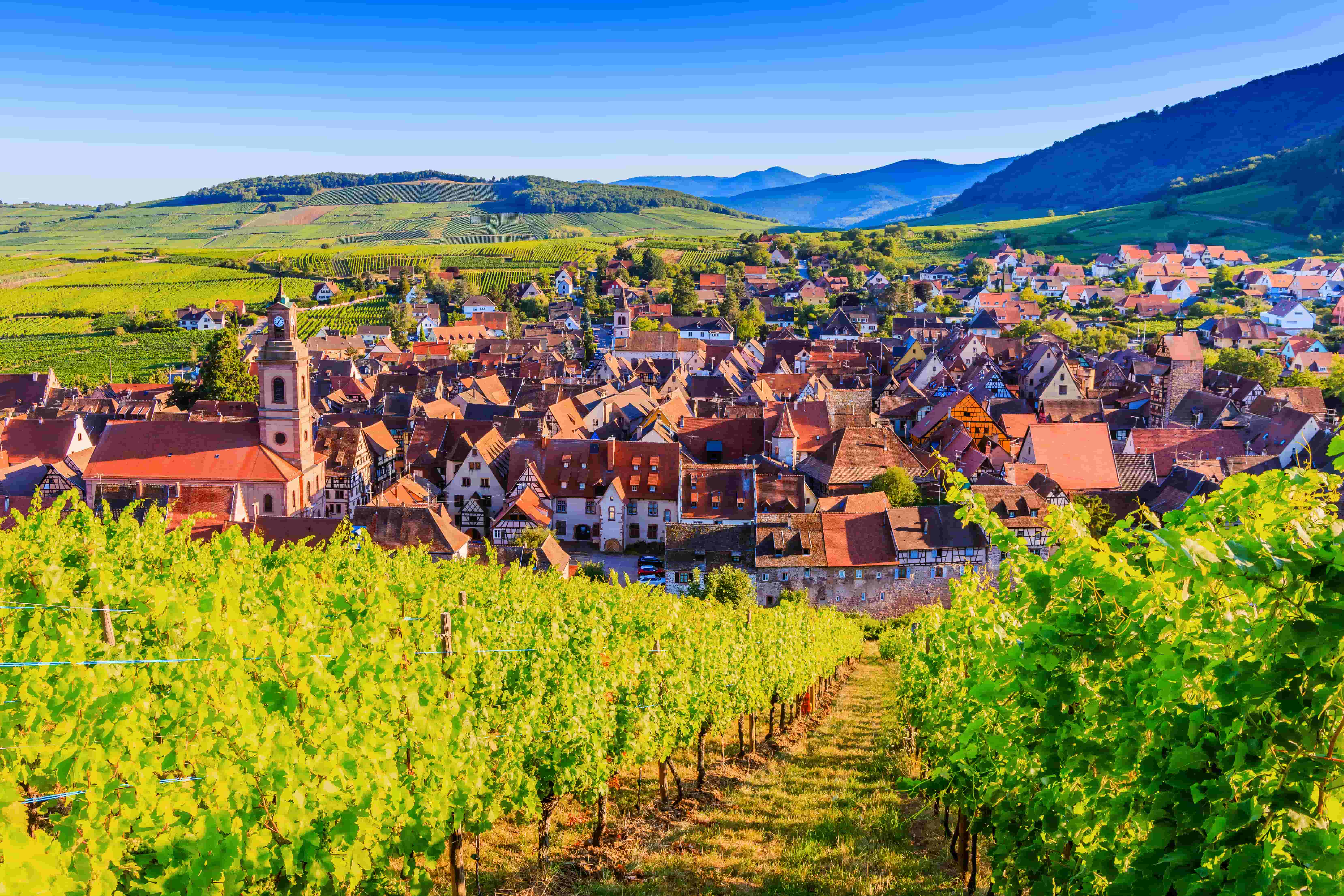 Que Faire En Alsace ? - Bonjour Alsace