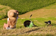 Spaziergang in den Weinbergen - Bonjour Alsace