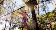 Kletterwald Mulhouse - Bonjour Alsace