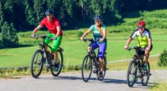 Elektro-Mountainbike-Verleih - Bonjour Alsace