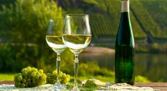 Weinverkostung - Bonjour Alsace