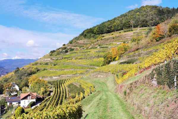 Abenteuertour - Bonjour Alsace