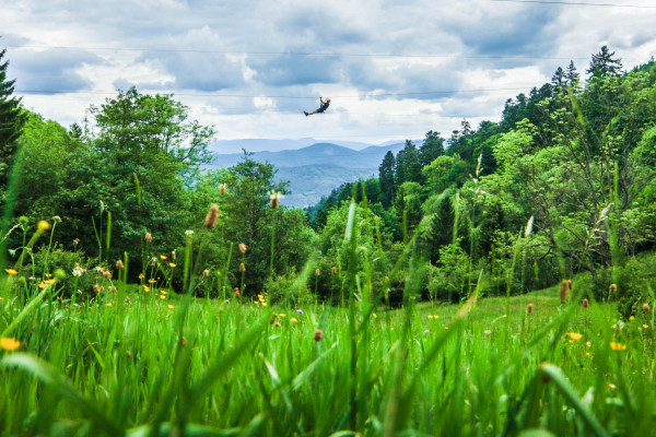 Hochseilgarten und Seilrutschen - Abenteuerpark  "Parc Alsace Aventure" - Bonjour Alsace