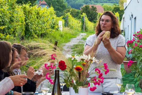 Gourmet-Aperitif beim unabhängigen Winzer - Weine aus Terroirs und alten Reben - Bonjour Alsace