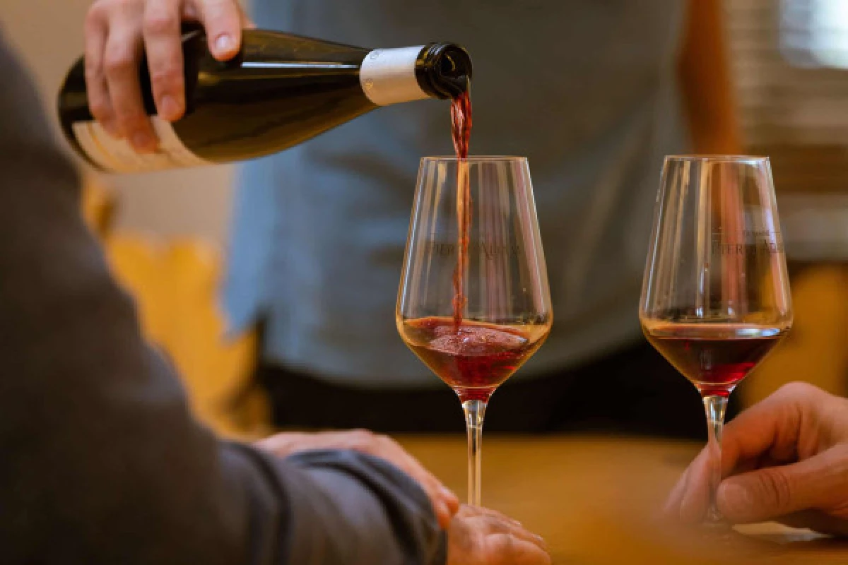 Alsace Wine Experience: Guided Tasting & Cellar Tour - Bonjour Alsace
