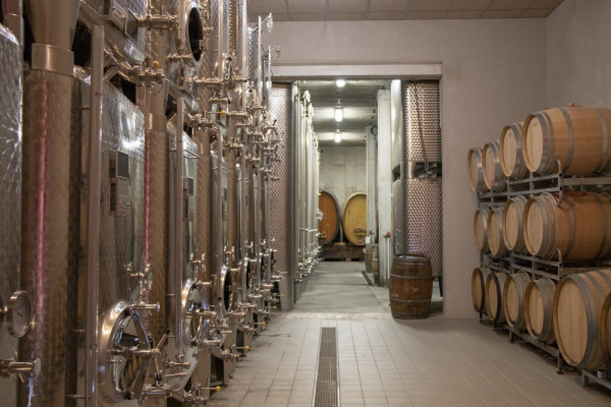 Alsace Wine Experience: Guided Tasting & Cellar Tour - Bonjour Alsace
