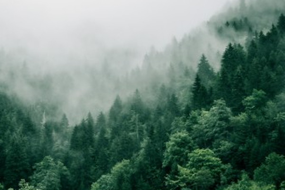 Waldbaden - Bonjour Alsace