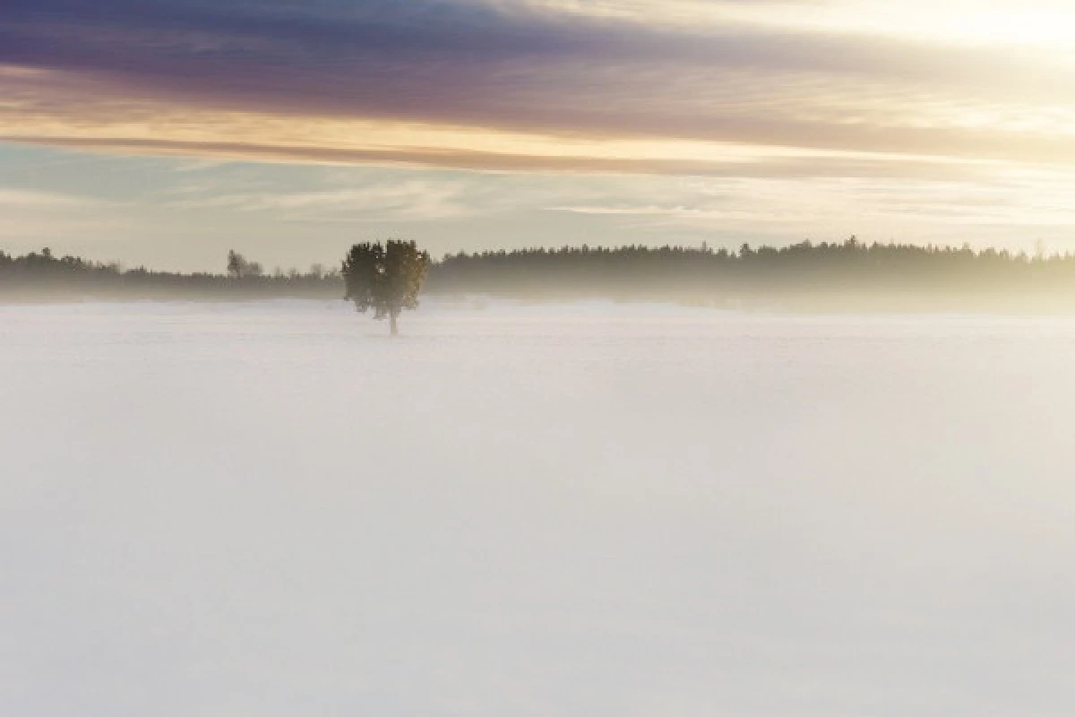 Spaziergang am Neujahrstag auf dem Champ du Feu - Bonjour Alsace