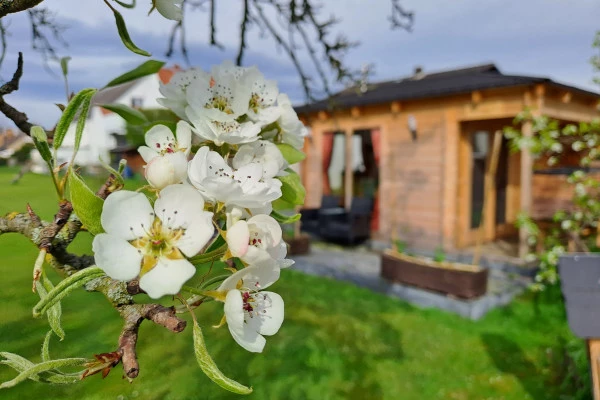 Bienenvolk erstellen - Bonjour Alsace Bienenvolk erstellen - Bonjour Alsace