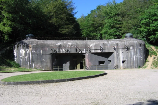 Eintrittskarte für die Maginot-Linie "Fort de Schoenenbourg" - Bonjour Alsace