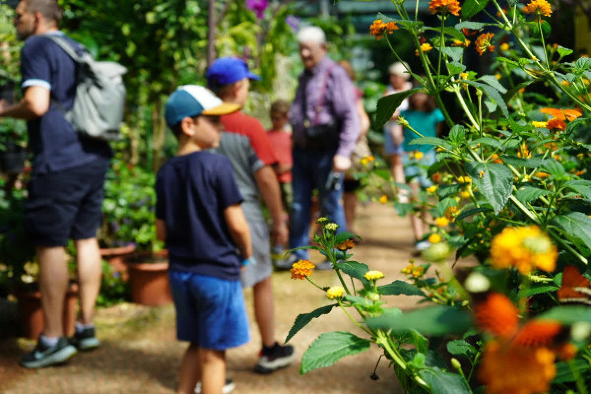 Ticket ohne Anstehen - Jardin des Papillons - Bonjour Alsace