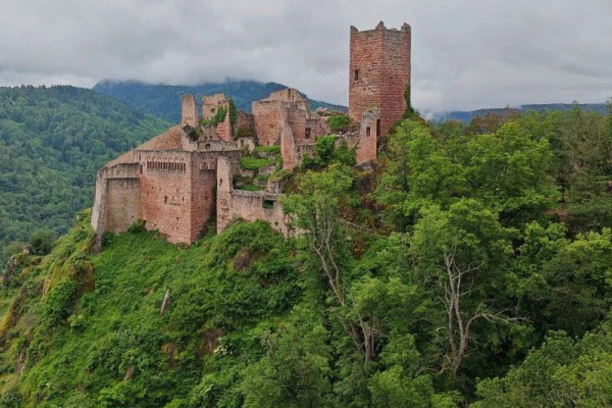 Weihnachten im Elsass zwischen Traditionen und Natur 2 Tage - Bonjour Alsace