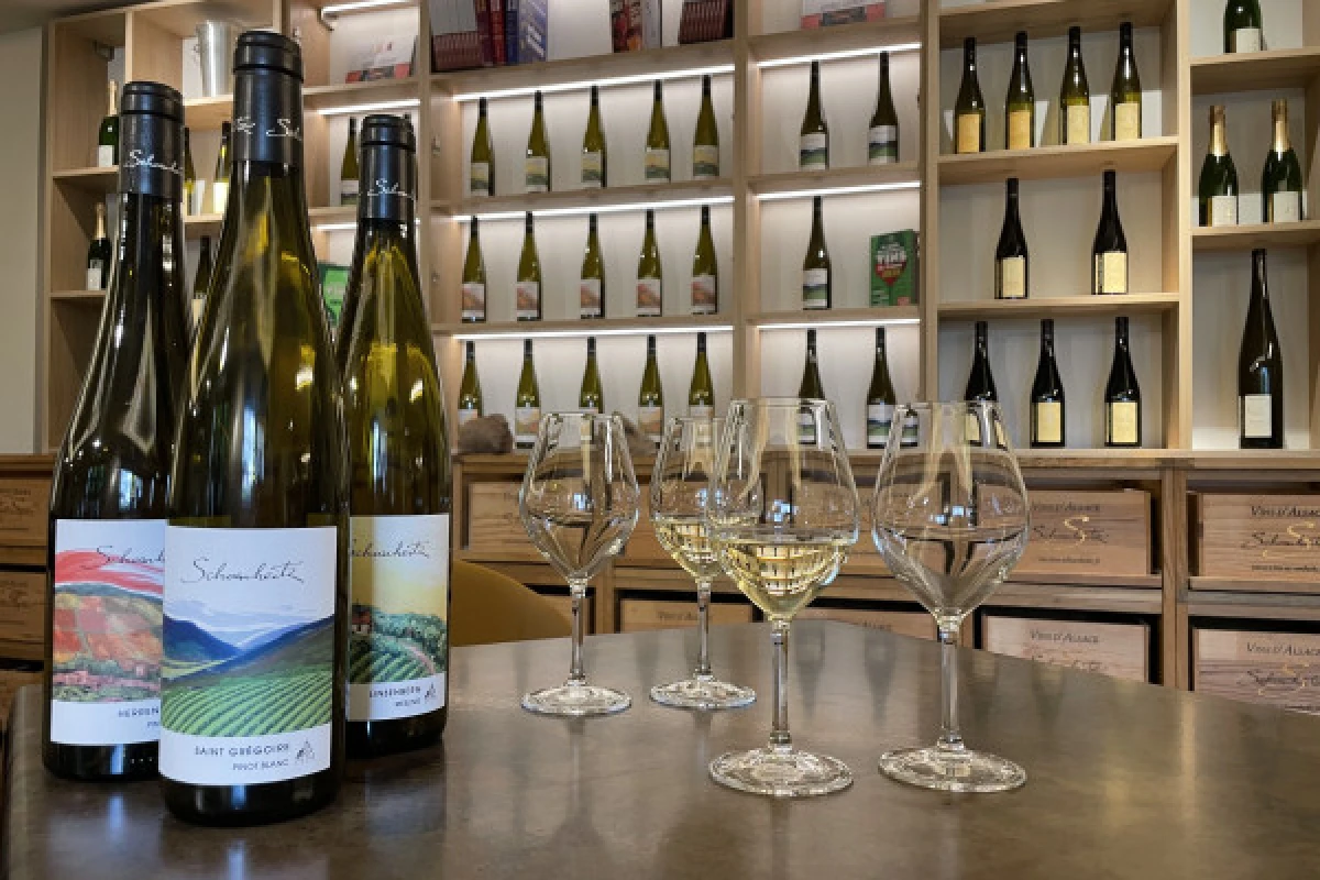 Die Weine des Elsass entdecken - Bonjour Alsace