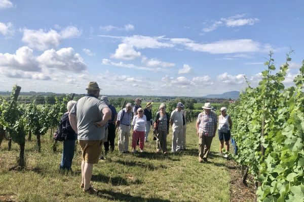 Entdeckungsreise durch die Weinberge: Von der Seele eines Weinguts - Bonjour Alsace