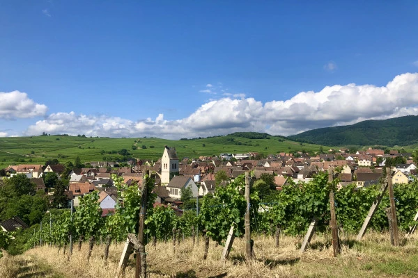 Entdeckungsreise durch die Weinberge: Von der Seele eines Weinguts - Bonjour Alsace