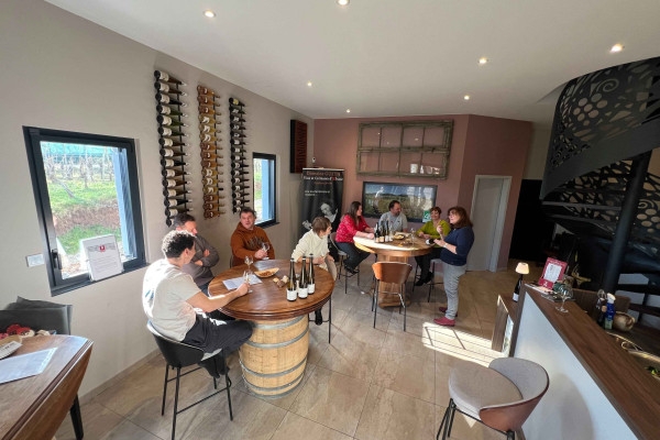 Verkostung: Die unverzichtbaren elsässischen Bio-Weine - Bonjour Alsace