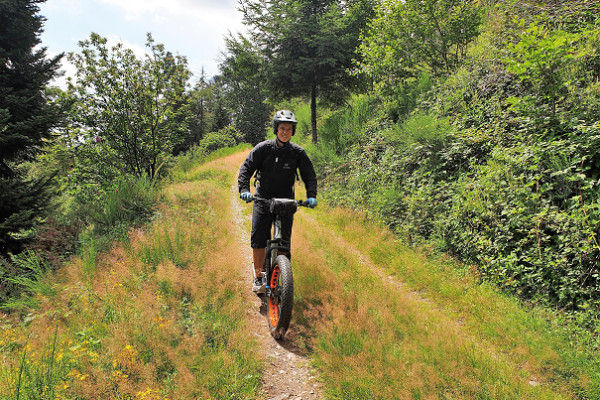E-Trott Abenteuer - Parc Alsace Aventure - Bonjour Alsace