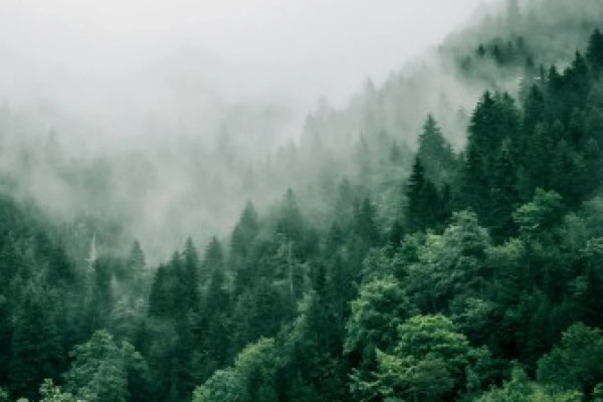 Waldbaden - Bonjour Alsace