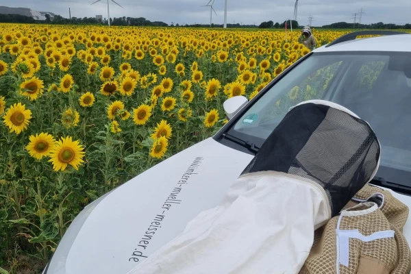 Honig-Verkostung für zwei Personen - Bonjour Alsace Honig-Verkostung für zwei Personen - Bonjour Alsace