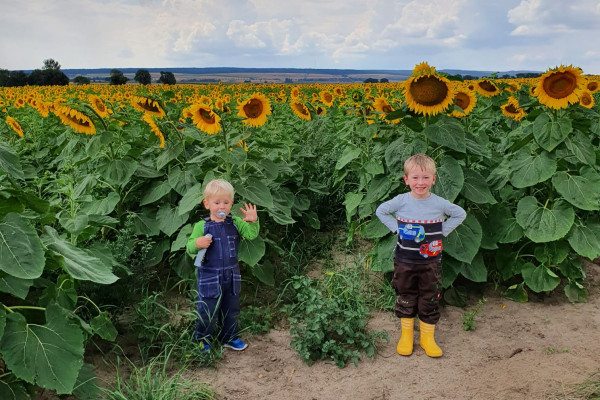 Honig-Verkostung für zwei Personen - Bonjour Alsace