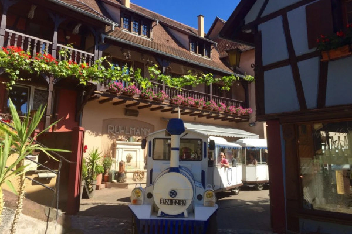 Bummelbahn des Winzers - Bonjour Alsace