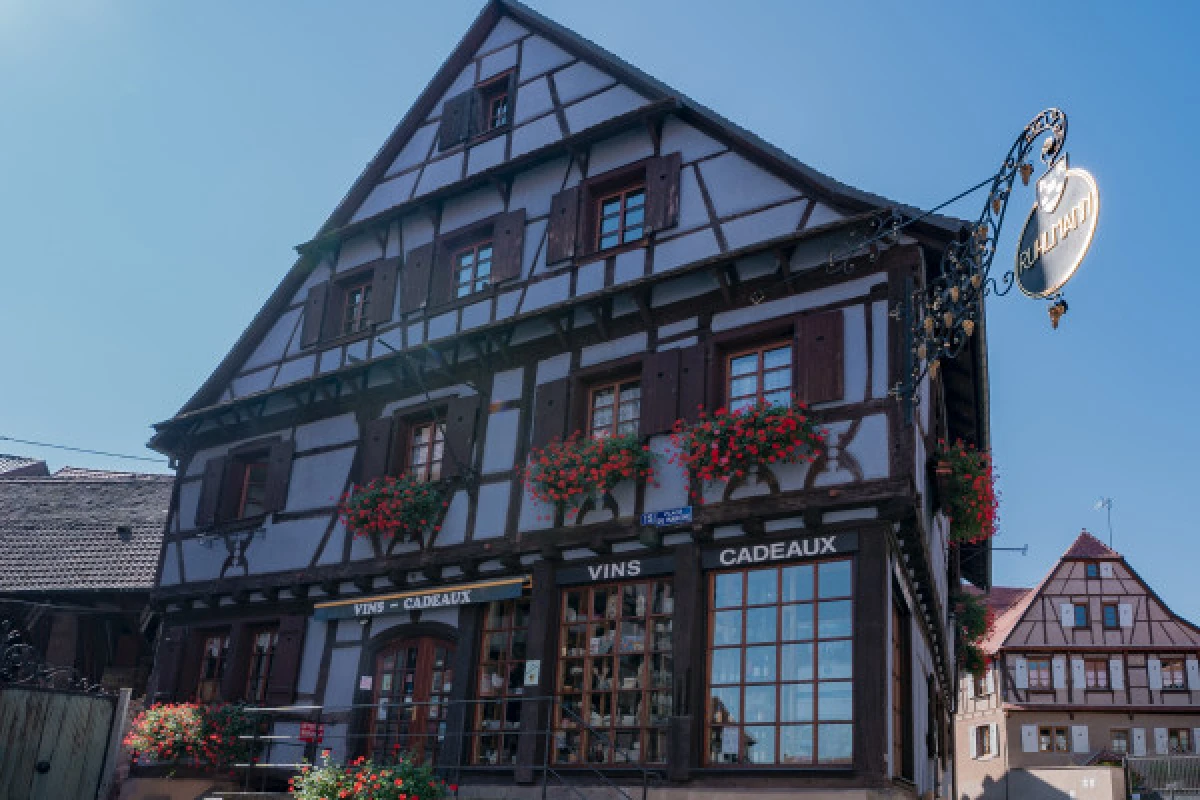 Bummelbahn des Winzers - Bonjour Alsace