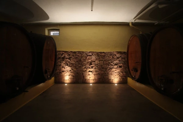 Die Sinne spielen verrückt:Entdecken Sie den Wein durch Ihre Geruchs- und Geschmackssinn - Bonjour Alsace