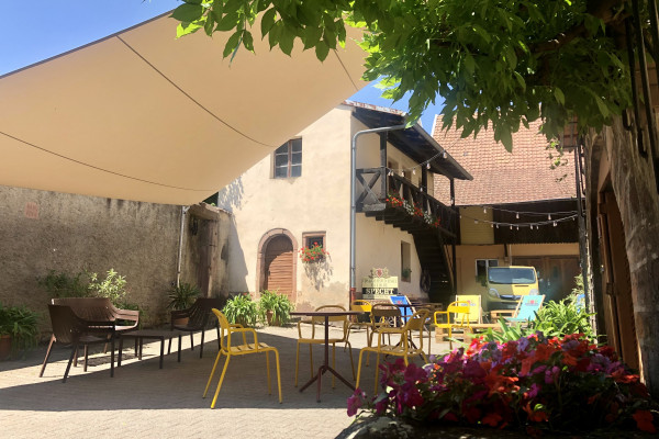 Die Sinne spielen verrückt:Entdecken Sie den Wein durch Ihre Geruchs- und Geschmackssinn - Bonjour Alsace