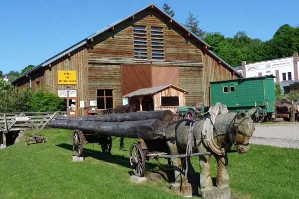 Museum des Holzhandwerks : Führung - Bonjour Alsace