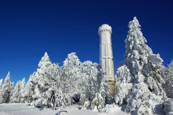Spaziergang am Neujahrstag auf dem Champ du Feu - Bonjour Alsace