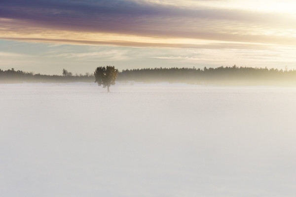 Spaziergang am Neujahrstag auf dem Champ du Feu - Bonjour Alsace