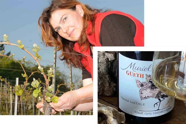 Wagen Sie Elsässer Weine mit einem femininen Touch - Bonjour Alsace