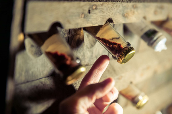 Parenthèse Vigneronne 'die Kunst der Weinbereitung' - Verkostung - Bonjour Alsace