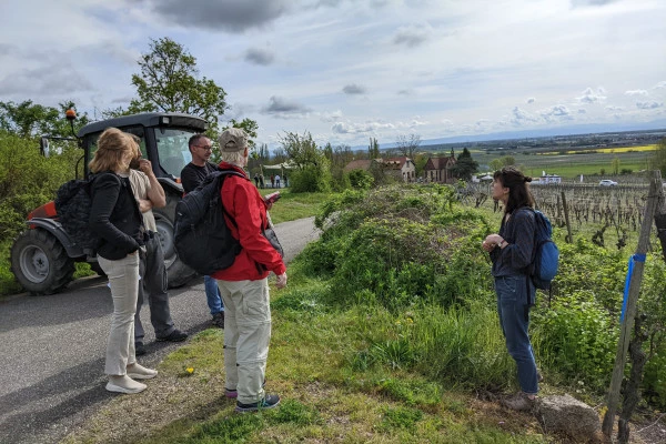 SCHERWILLER #7 - Workshop Tournée des Terroirs - Floral walk on the Rittersberg - Bonjour Alsace