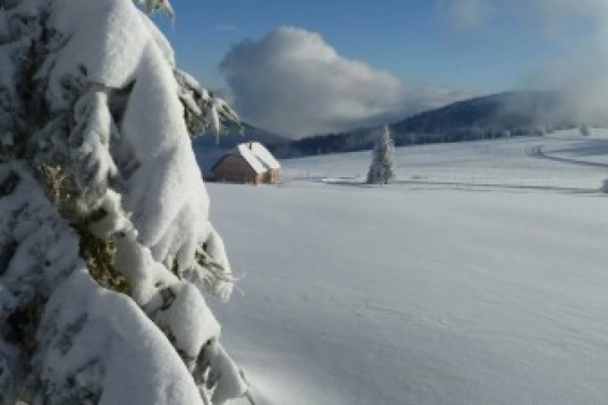 Schneeschuhwanderung am Col de la Schlucht 2024 - Bonjour Alsace