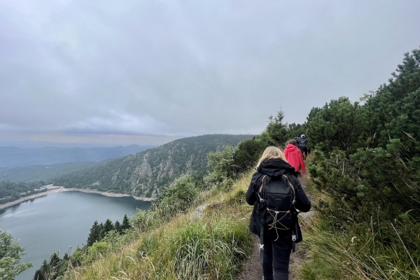 Ausflug 'Begegnung mit den Gämsen' - Bonjour Alsace