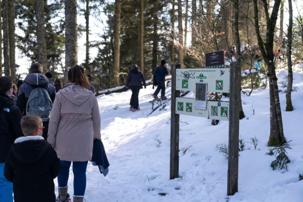 Schneeschuhwanderung für die ganze Familie - Bonjour Alsace