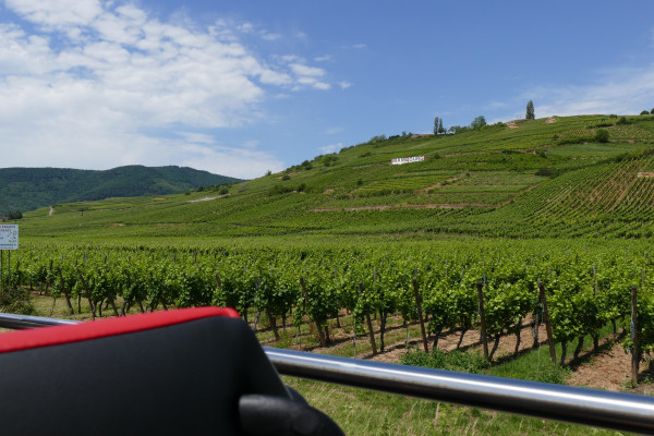 Ab Straßburg: "Best Of Alsace“ Tagestour - Bonjour Alsace