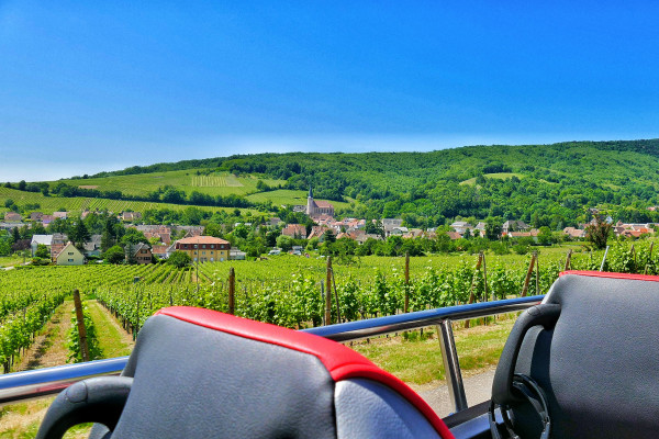 Ab Straßburg: "Coeur d’Alsace“ PRIVATE Tagestour - Bonjour Alsace