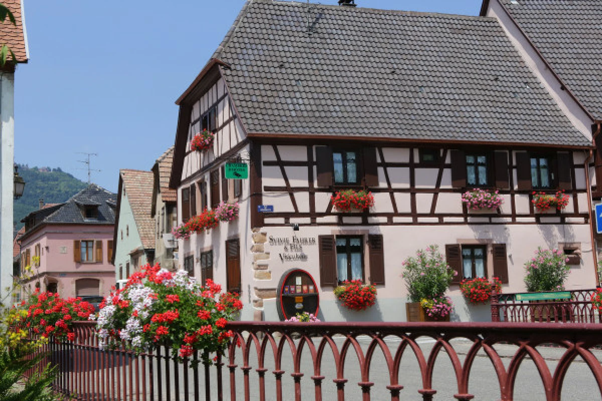 Valentine's Day tasting (wine, cheese and chocolate) - Bonjour Alsace