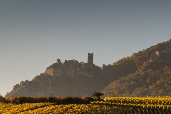 elsässische Weinberge und Verkostung - Bonjour Alsace