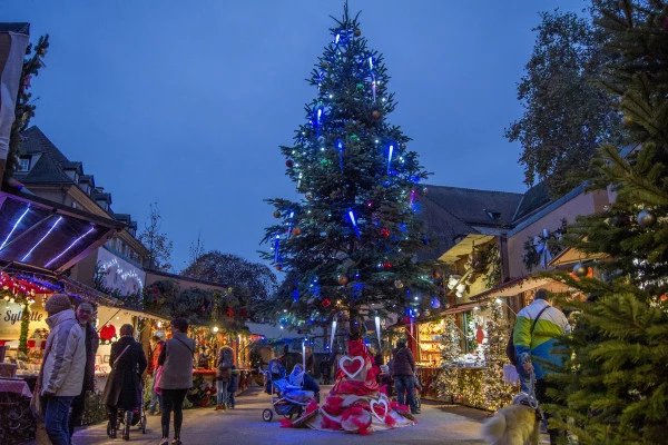 Elsässer Dörfer und Colmar Weihnachtsmärkte Tour - Bonjour Alsace