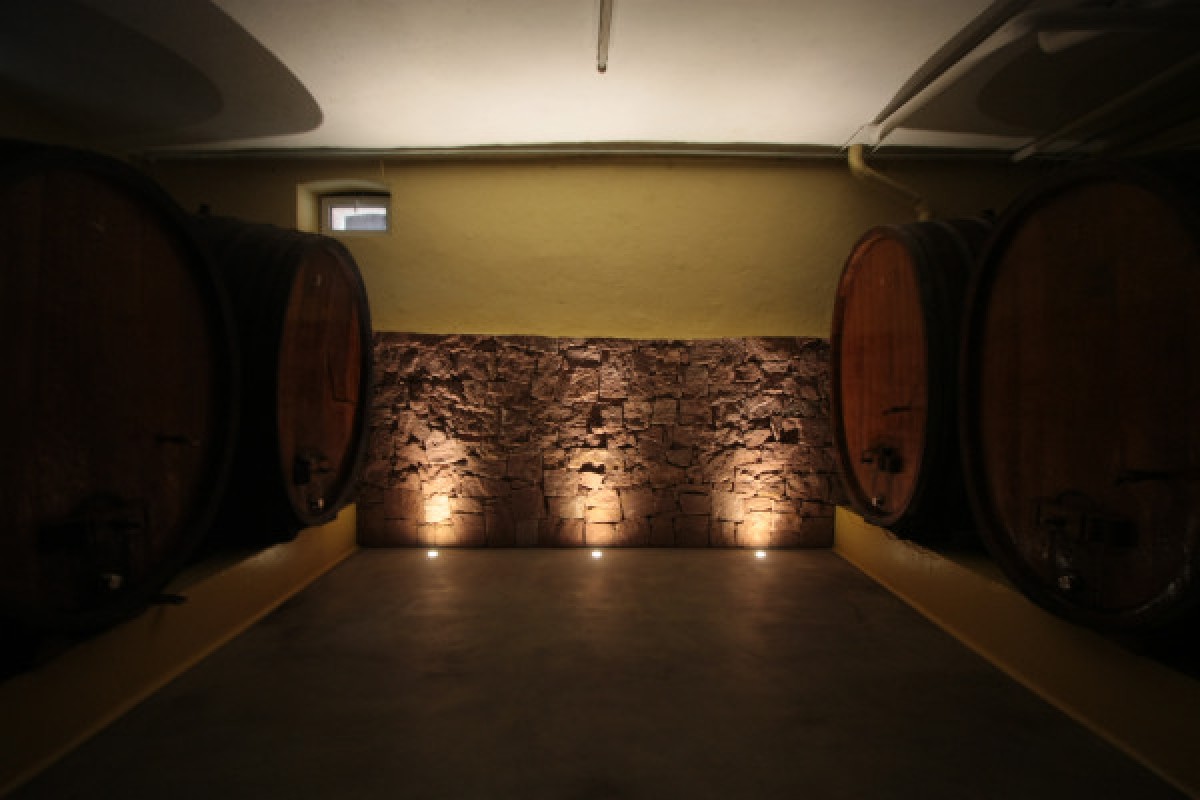 Traditioneller Besuch & Weinprobe - 5 Rebsorten - Bonjour Alsace