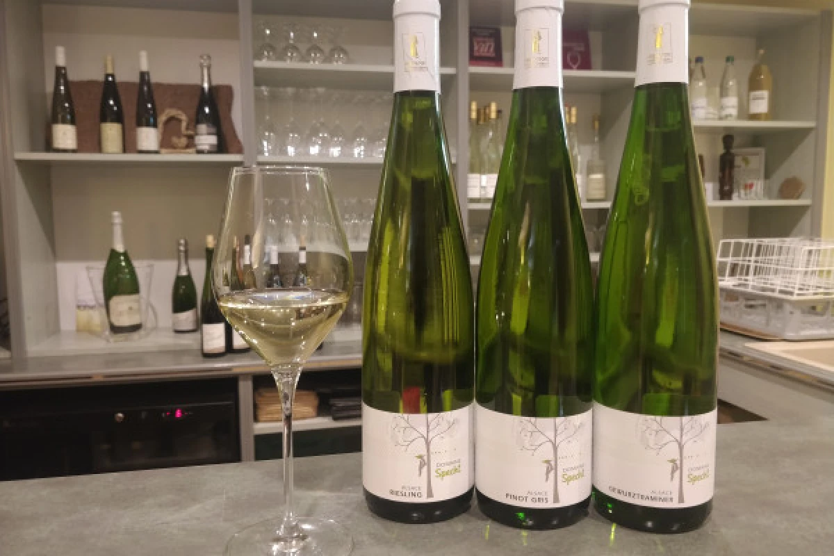 Traditioneller Besuch & Weinprobe - 5 Rebsorten - Bonjour Alsace