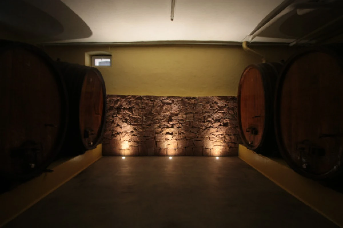 Traditioneller Besuch & Weinprobe - 5 Rebsorten - Bonjour Alsace