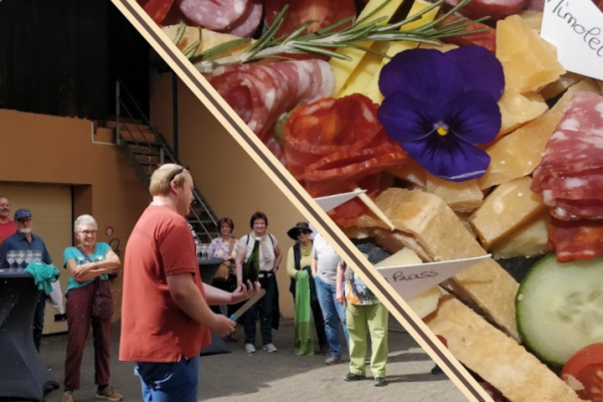 Traditioneller Besuch & Weinprobe - 5 Rebsorten - Bonjour Alsace