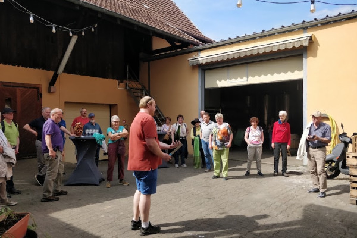 Traditioneller Besuch & Weinprobe - 5 Rebsorten - Bonjour Alsace